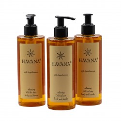 Havana 2in1 Shampoo und Gel in einer runden 300-ml-Flasche 10 stk