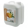 Mydło w płynie  PROFESSIONAL Jasmine and Orange, 5L 1szt