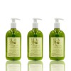 Mini Seife - Seifen Schneller Versand | Hotel Shampoo&Duschgel
