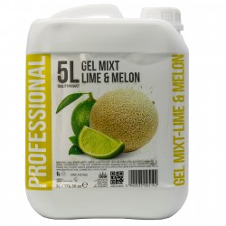 Szampon i żel 2w1 dla hoteli PROFESSIONAL Lime and Melon 5L